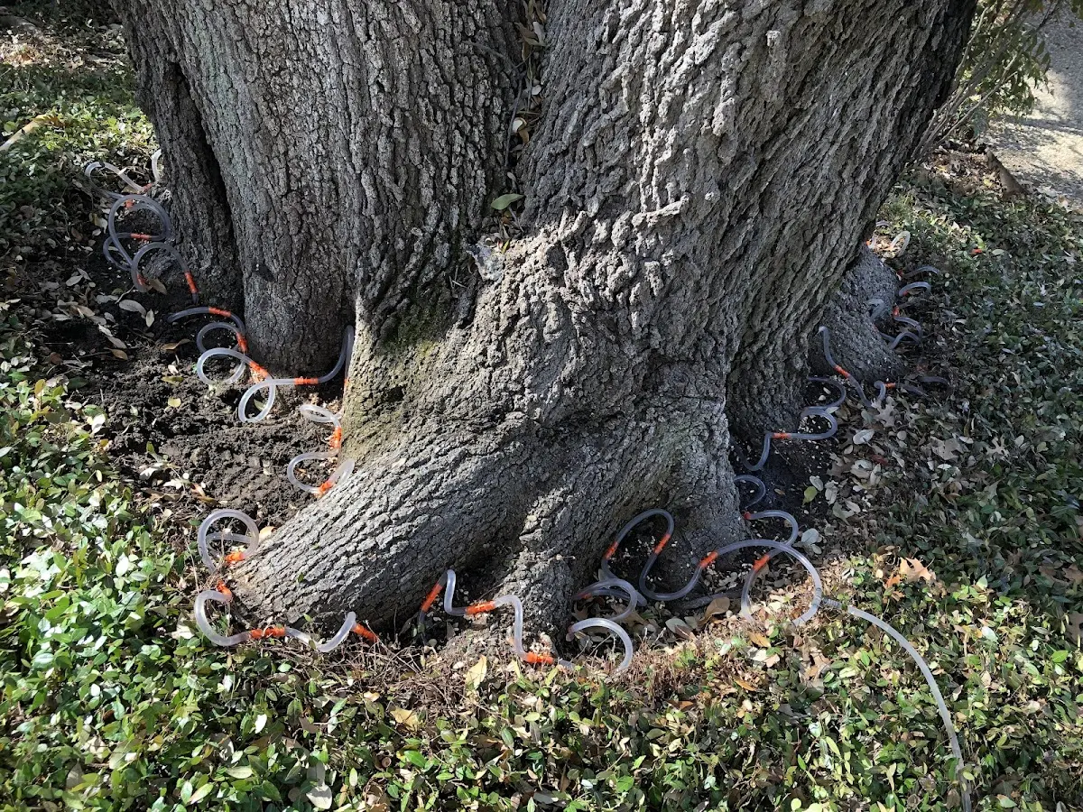 Detailed Shrub and Hedge Trimming job site in Garden Valley